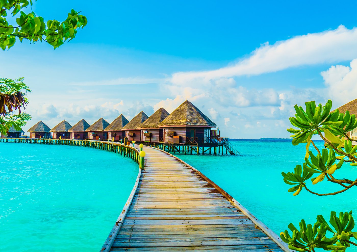 Resort arrival and guest transport connectivity